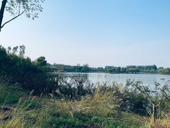 -东郊湿地公园