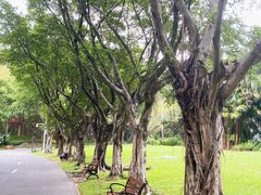 -深圳国际园林花卉博览园