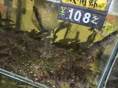 -岛中岛·海鲜大排档·万宁老字号(东澳店)