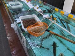 -寻味顺德·南记酒家·传统顺德菜·鱼生(广源路店)