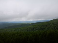 -塞罕坝国家级自然保护区