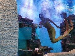 -瑞德姆美人鱼海底演艺主题餐厅(亚龙湾店)