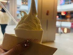 -野人先生现做冰淇淋(北京环宇荟店)