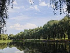 -东坝千亩湖公园