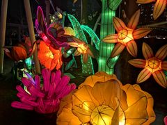 -锦江乐园舞狸花花游园会(夜场专享)