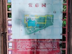-嘉定紫藤园