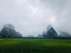 -明仕田园