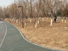 -回龙观体育文化公园