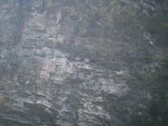 -神农溪纤夫文化旅游区