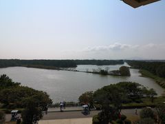 -大湾区中央湿地公园