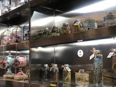 -植物学家的女儿(北马道巷店)