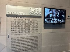 -北京周口店北京人遗址博物馆