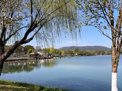 -尚湖风景区