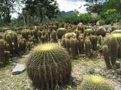 iphone_upload_pic-Club Med地中海俱乐部·桂林度假村