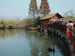 -溱湖国家湿地公园