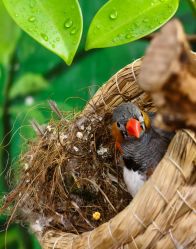 -Zoolung Zoolung动物主题公园(海信广场店)