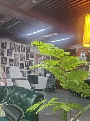 -刺客者联盟纹身·洗纹身工作室