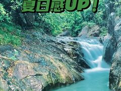 -广州白江湖森林公园