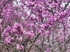 -天台山赤城山景区
