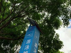 -深圳大学城（南区）体育中心-游泳馆