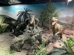 -国家自然博物馆