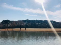 -上海方塔园