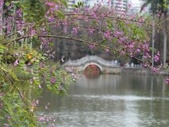 -中国科学院华南植物园