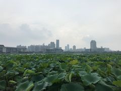 -月湖风景区