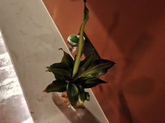 -霖公馆SPA·足道(普善路店)