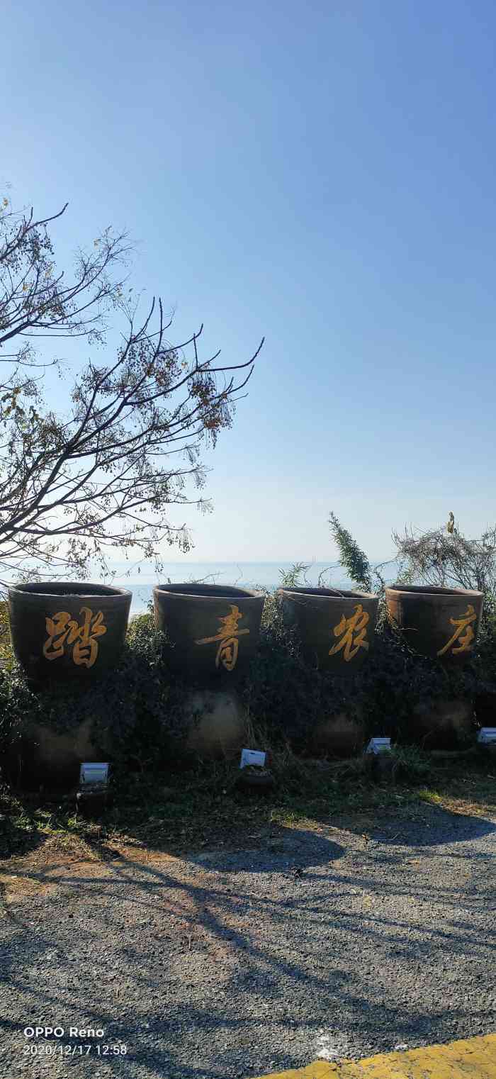 踏青农庄-"这么高的分数不知道怎么来的?在我看来唯一.