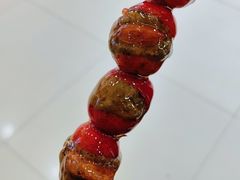 -糖葫芦王保定名吃(古莲花池店)