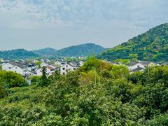 -树山生态村