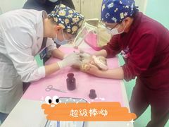 -北京观赏动物医院·24小时大型综合·猫专科·异宠专科