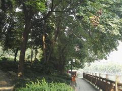 -成都市活水公园