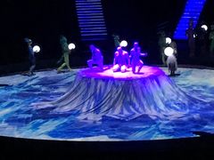 -珠海横琴长隆《卡卡虎奇遇记》