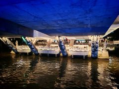 -运河游船(武林门码头)