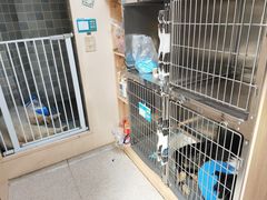 -谐和贝康宠物医院24小时·宠保定点(急重症转诊中心)