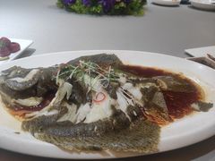 清蒸多宝鱼-鸭王烤鸭店(三里河店)