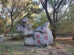 -南海子公园