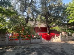 -红螺寺