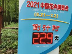 -东平国家森林公园