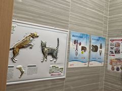 -瑞派名望志远动物医院·猫科·內科·异宠专科(直港大道店)