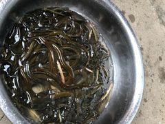 -老虎土菜馆·农家土菜