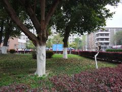 -四川大学(华西校区)