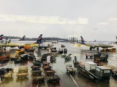 -谢列梅捷沃国际机场