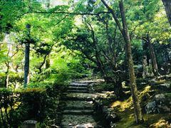-常寂光寺