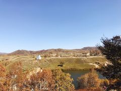 -乌兰布统草原