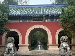 -灵谷景区