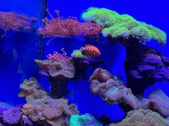 -上海海昌海洋公园