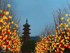 -龙华寺